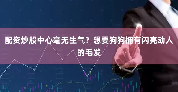 配资炒股中心毫无生气？想要狗狗拥有闪亮动人的毛发