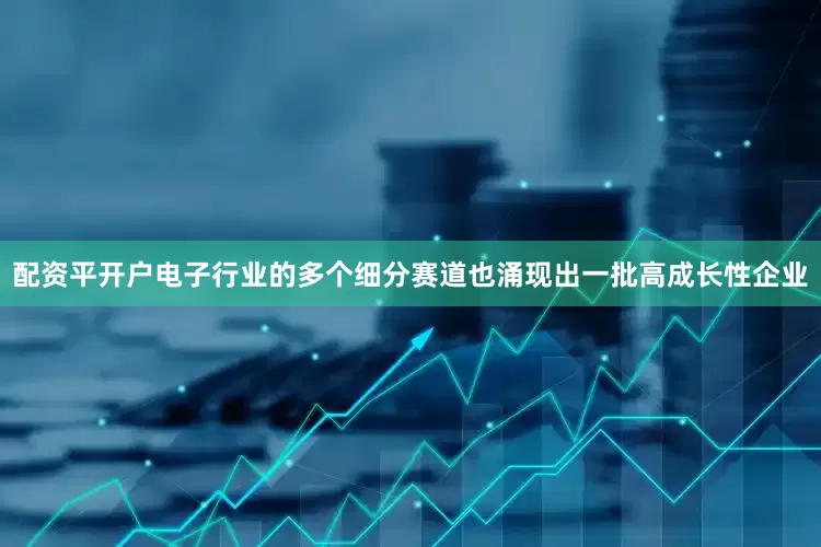 配资平开户电子行业的多个细分赛道也涌现出一批高成长性企业
