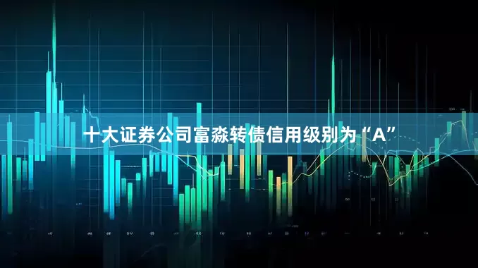 十大证券公司富淼转债信用级别为“A”